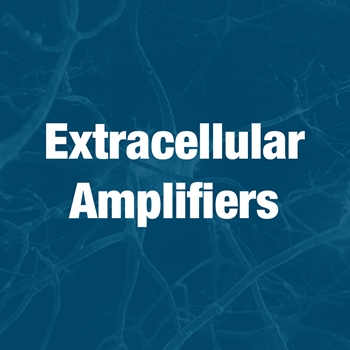Extracellular Amplifiers
