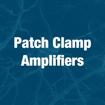Patch Clamp Amplifier